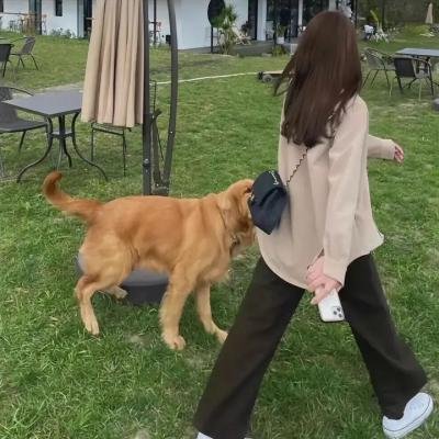 爱的火花